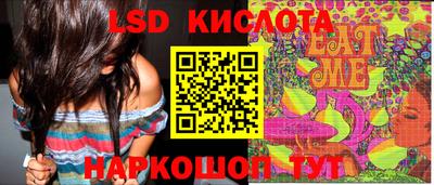 тгк Шебекино