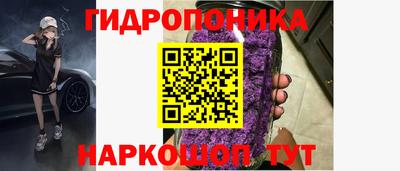 гидра Ярцево