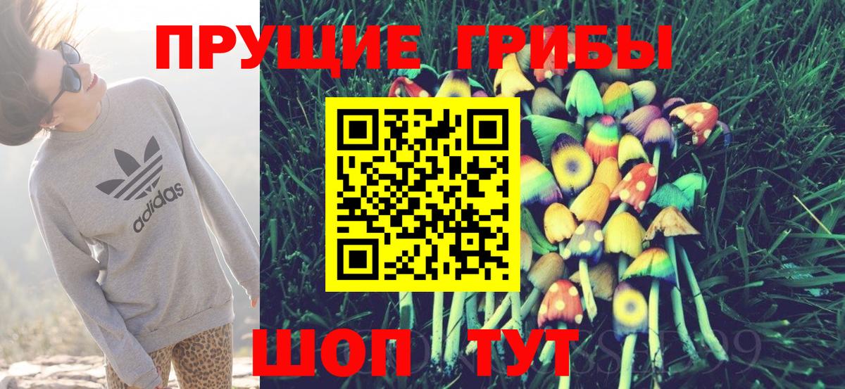 Псилоцибиновые грибы прущие грибы Набережные Челны